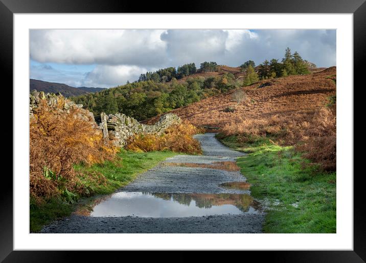 Lovely Rydalwater Framed Mounted Print by Gary Kenyon