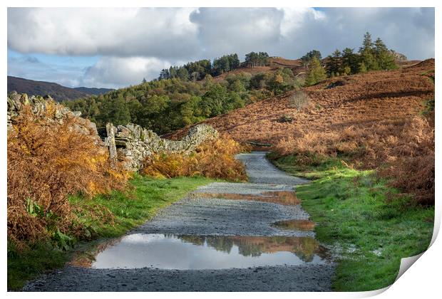 Lovely Rydalwater Print by Gary Kenyon