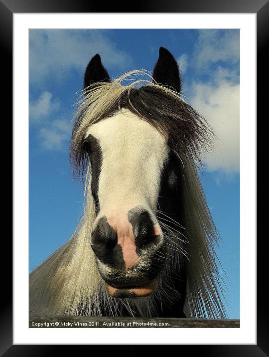 Pennine Pony Framed Mounted Print by Nicky Vines