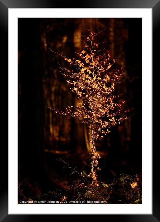 Tree fire Framed Mounted Print by Simon Johnson