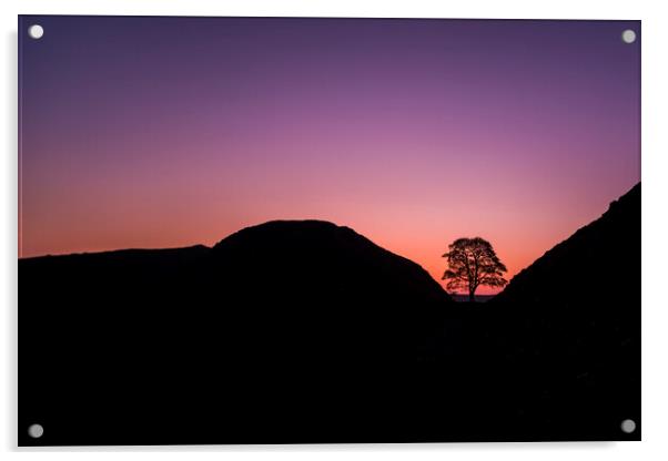 Sycamore Gap Silhouette Acrylic by Les Hopkinson