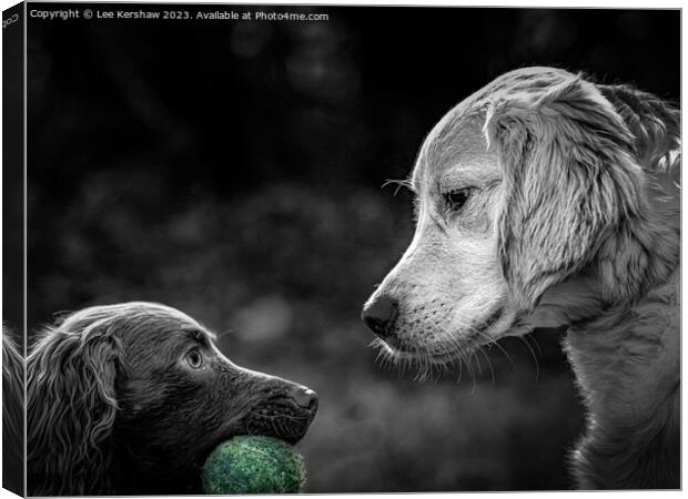 My Ball Canvas Print by Lee Kershaw