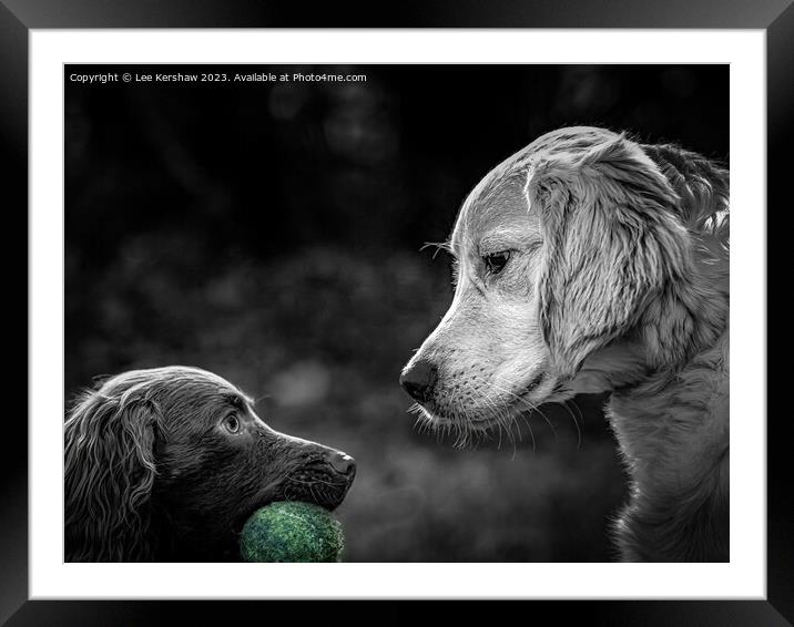 My Ball Framed Mounted Print by Lee Kershaw