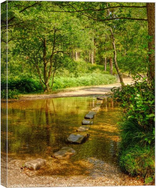 The Cannock Chase Stepping Stones Canvas Print by Diana Mower