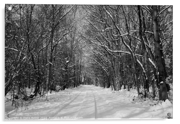 Essex Woodland Snow Acrylic by Diana Mower