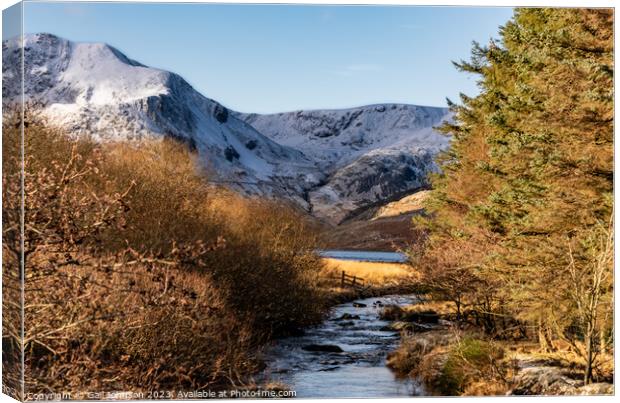 driving around Snowdonia National Park in winter  Canvas Print by Gail Johnson