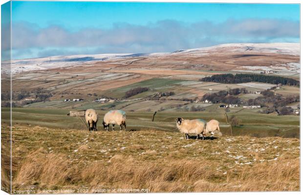 Towards Middle Side, Teesdale, from the Kelton Road Canvas Print by Richard Laidler