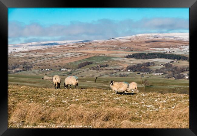 Towards Middle Side, Teesdale, from the Kelton Road Framed Print by Richard Laidler