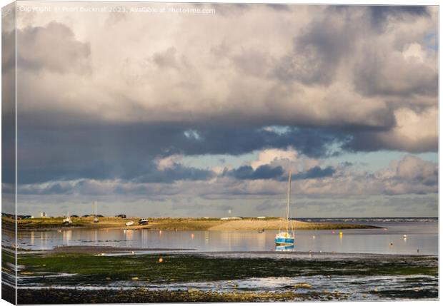 Incoming Tide in Red Wharf Bay Anglesey Canvas Print by Pearl Bucknall
