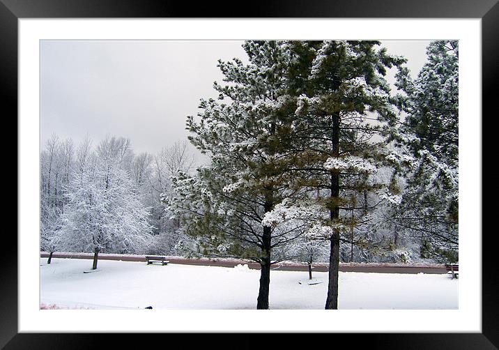 Snowy Morning Framed Mounted Print by Tom Gomez