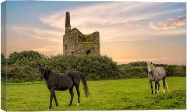 Old tin mine and horses Canvas Print by kathy white