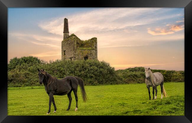 Old tin mine and horses Framed Print by kathy white