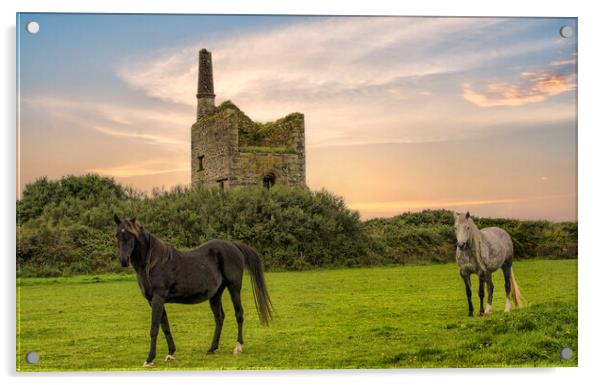 Old tin mine and horses Acrylic by kathy white