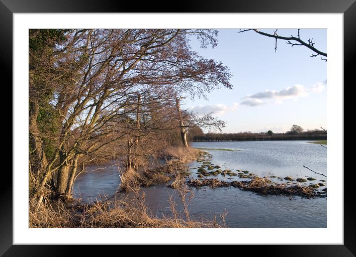 Evening light on flooded field Framed Mounted Print by Sally Wallis