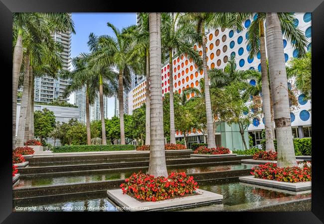 Palm Trees Water Garden Downtown Buildings Miami Florida Framed Print by William Perry