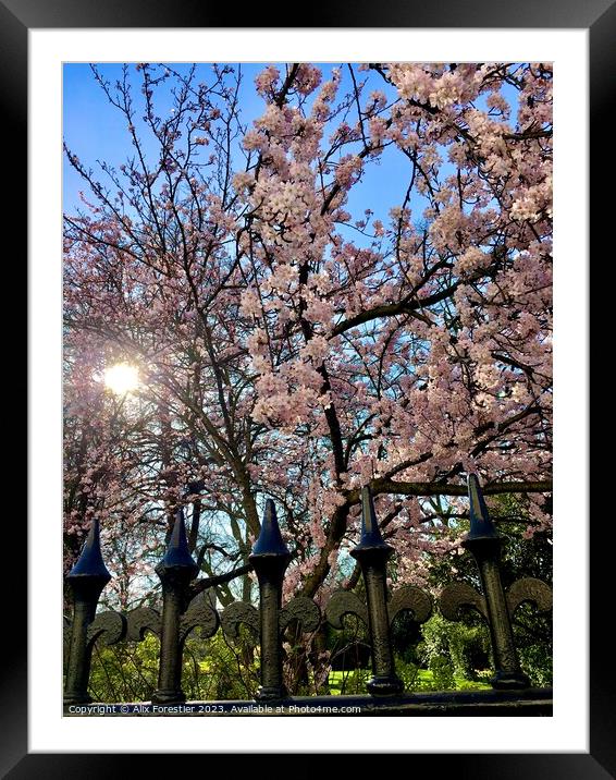 Springtime in London Framed Mounted Print by Alix Forestier