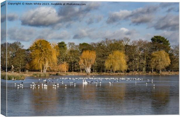 Wildlife coping with partial thin ice on pond Canvas Print by Kevin White