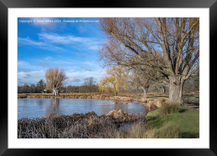 Winter scene at Bushy Park ponds Framed Mounted Print by Kevin White
