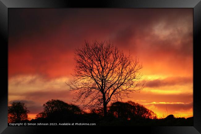 tree silhouette at sunrise Framed Print by Simon Johnson