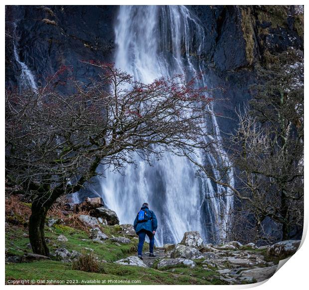 Aber Falls  Print by Gail Johnson