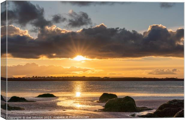 Early morning walk at Penrhos Nature park Islae of Angelsey  Canvas Print by Gail Johnson