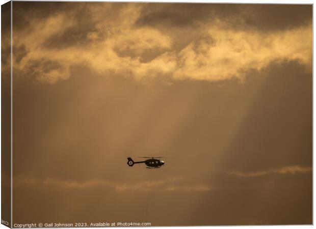 Squirrel Helicopter in the sunset  Canvas Print by Gail Johnson