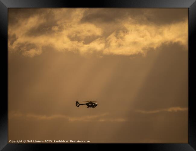 Squirrel Helicopter in the sunset  Framed Print by Gail Johnson