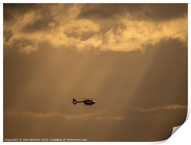 Squirrel Helicopter in the sunset  Print by Gail Johnson