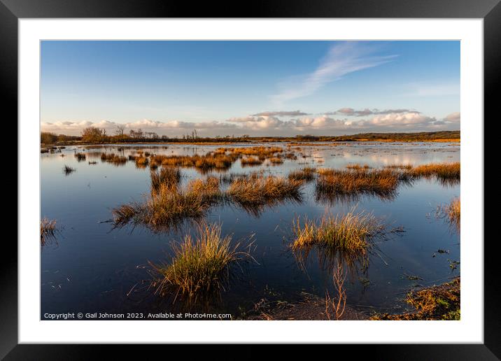 Walking around the wet lands bird sancutaury Anglesey  Framed Mounted Print by Gail Johnson