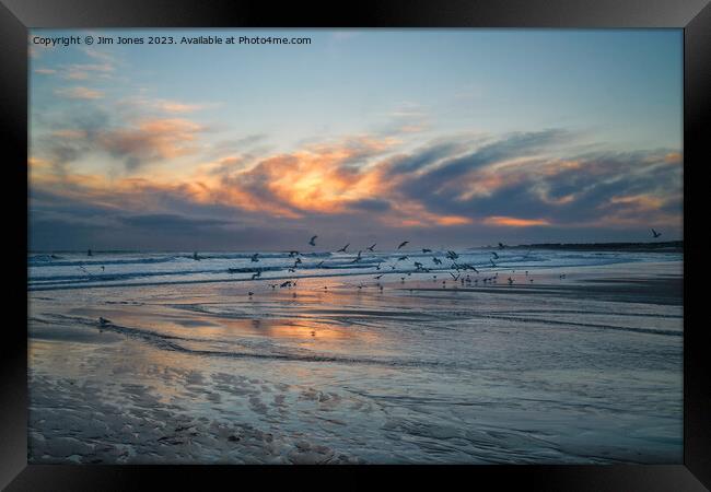 Seagulls at Sunrise Framed Print by Jim Jones