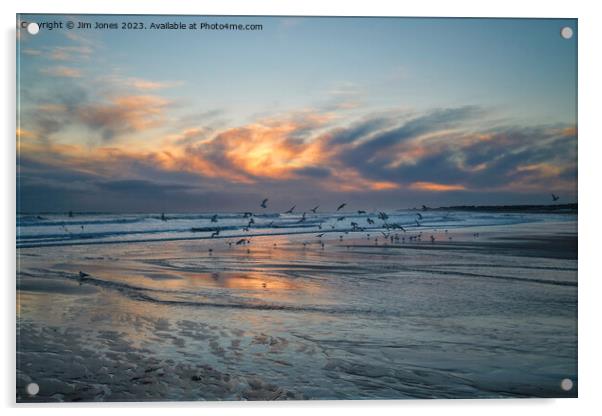 Seagulls at Sunrise Acrylic by Jim Jones