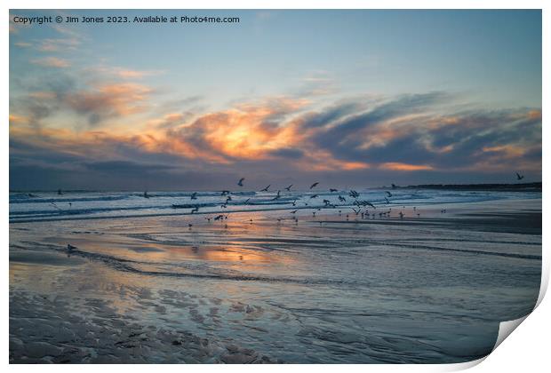 Seagulls at Sunrise Print by Jim Jones