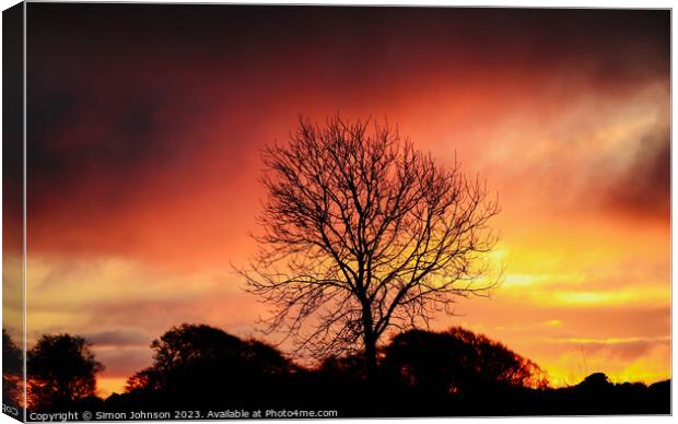 tree silhouette ~Sunrise Canvas Print by Simon Johnson