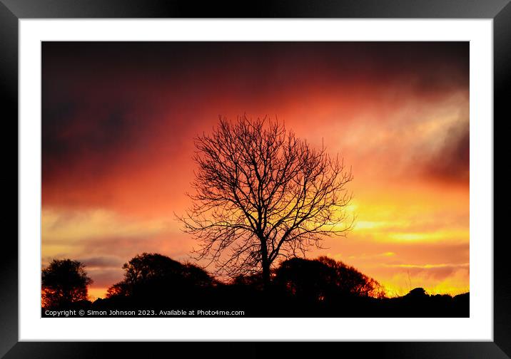 tree silhouette ~Sunrise Framed Mounted Print by Simon Johnson