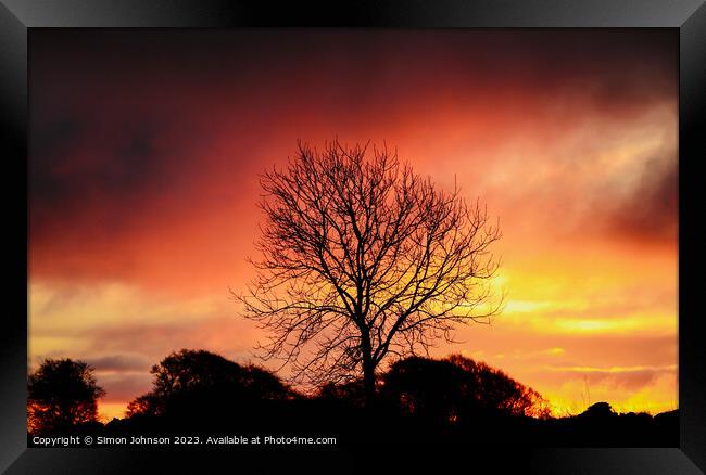 tree silhouette ~Sunrise Framed Print by Simon Johnson
