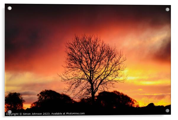 tree silhouette ~Sunrise Acrylic by Simon Johnson