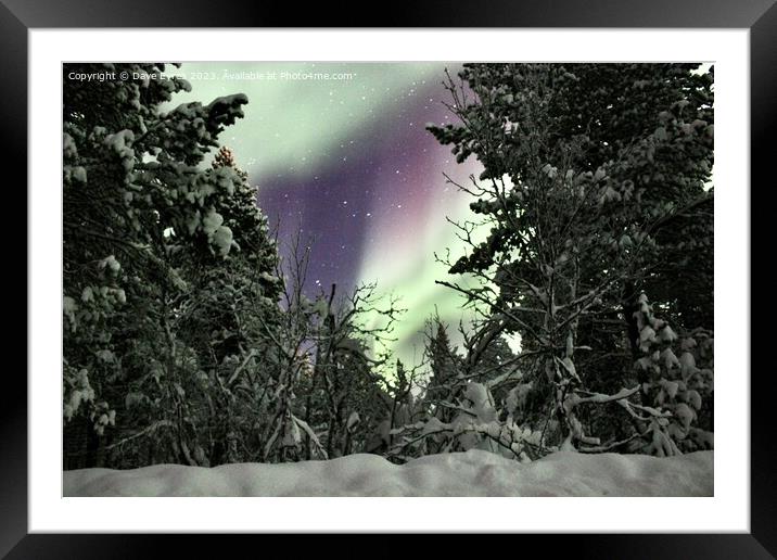 Purple Aurora Borealis  Framed Mounted Print by Dave Eyres