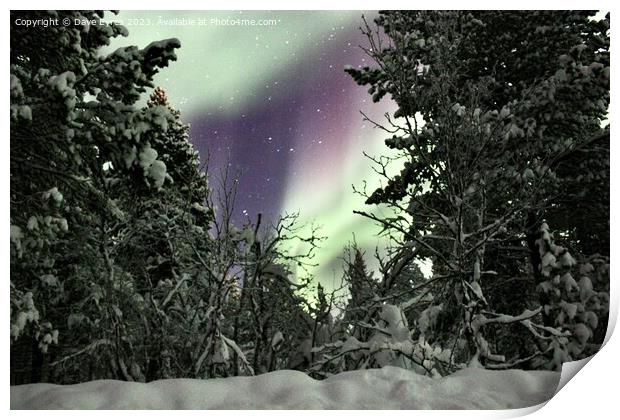 Purple Aurora Borealis  Print by Dave Eyres