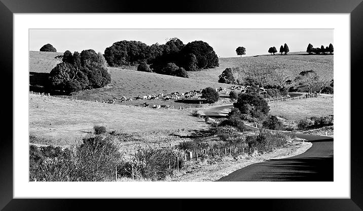 Dairy Country Framed Mounted Print by Dennis Gay
