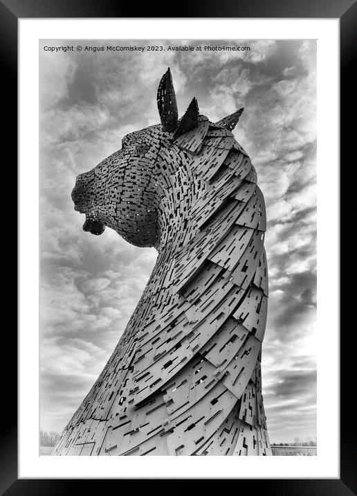 Kelpie standing proud black and white Framed Mounted Print by Angus McComiskey