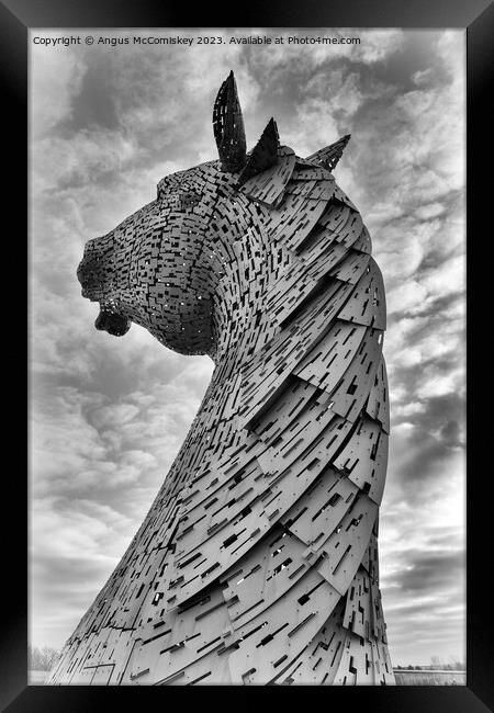 Kelpie standing proud black and white Framed Print by Angus McComiskey