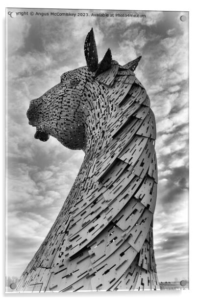 Kelpie standing proud black and white Acrylic by Angus McComiskey