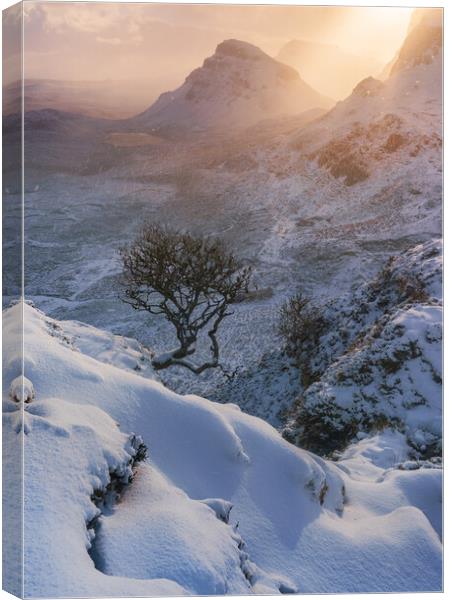 Winter Skye Canvas Print by John Finney