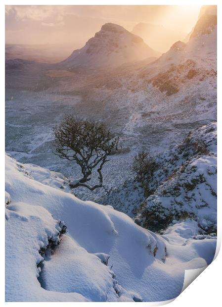 Winter Skye Print by John Finney
