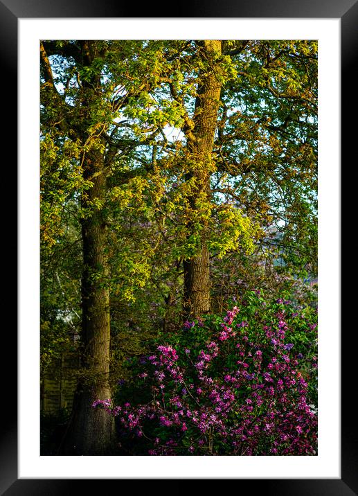 Spring has Sprung Framed Mounted Print by Gerry Walden LRPS