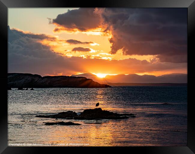 Sunrise from rhoscolyn Beach looking to Snowdonia Framed Print by Gail Johnson