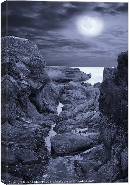 Moonlight over Rugged Seaside Rocks Canvas Print by Jane McIlroy