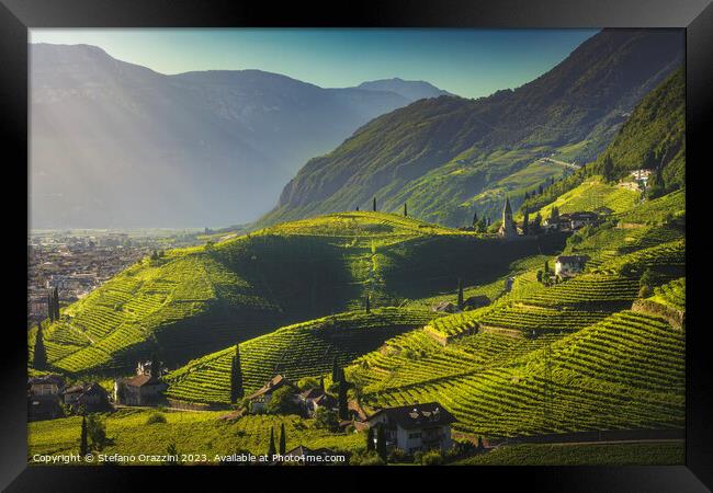 Vineyards view in Santa Maddalena, Bolzano. South Tyrol Framed Print by Stefano Orazzini