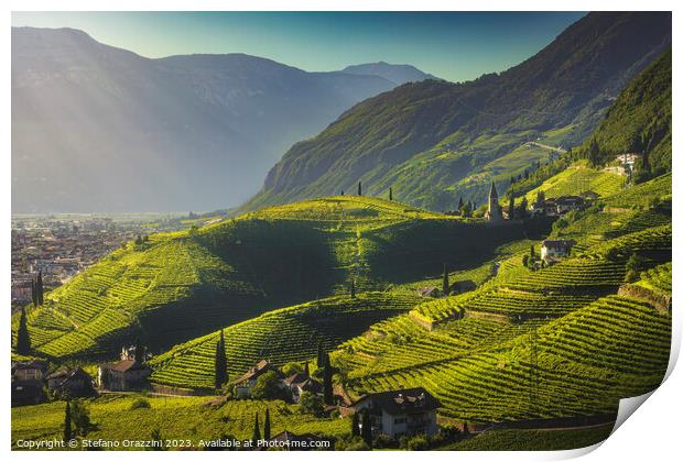 Vineyards view in Santa Maddalena, Bolzano. South Tyrol Print by Stefano Orazzini