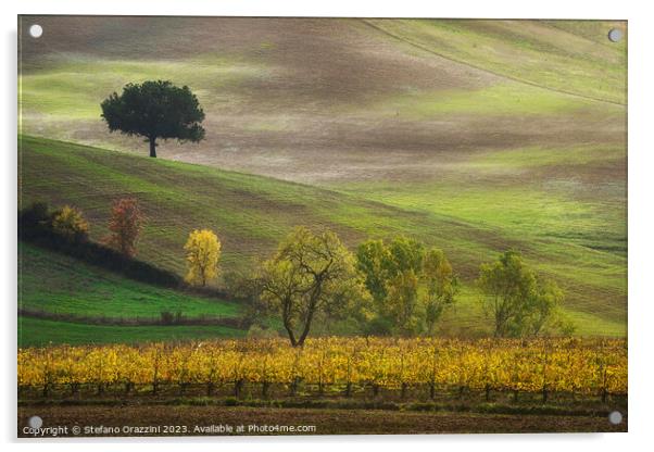 Autumn in Tuscany, trees and vineyard. Castellina in Chianti. Acrylic by Stefano Orazzini